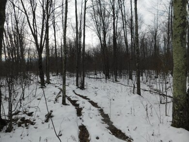 40 Acres Cth T, Tripoli, WI 54564 - photo 4