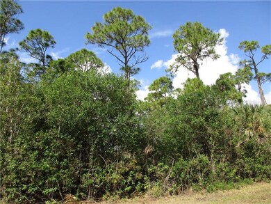 BEFORE; after is up to the imagination- 1/2 acre 