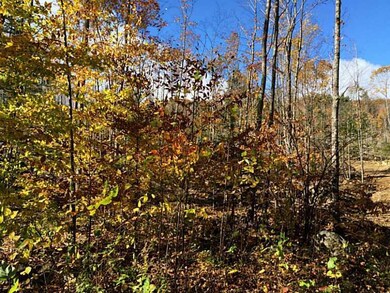 17 Bickford Pond Rd, Porter, ME 04068 - photo 3