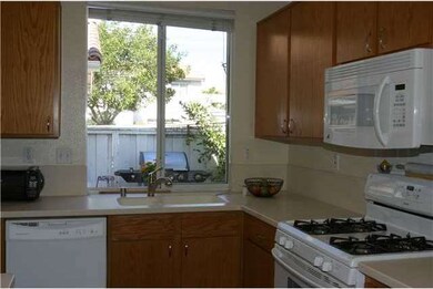 Kitchen overlooking the back patio