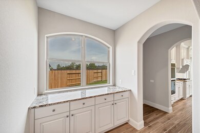 29427 Amber Meadows Ct, Katy, TX 77494 - photo 6