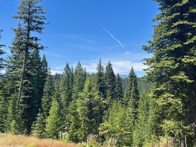 25 Sawtooth Loop unit Lot 25, Cascade, ID 83611 - photo 3