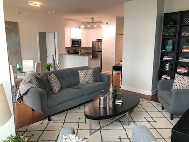 Mueseum Park Tower III unit 2210, Chicago, IL 60605 - photo 4