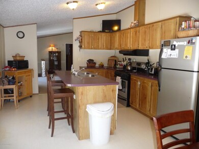 547 Ridge Ave, Dallas, PA 18612 - photo 3