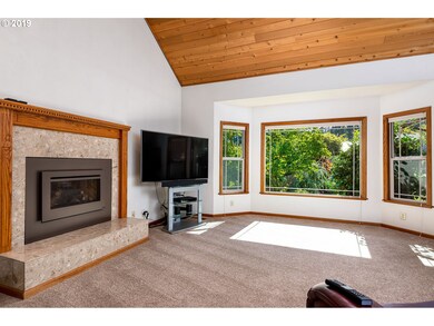 Fireplace Gas