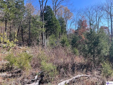 0 Mount Zion Rd unit HK25004890, Bowling Green, KY 42101 - photo 7