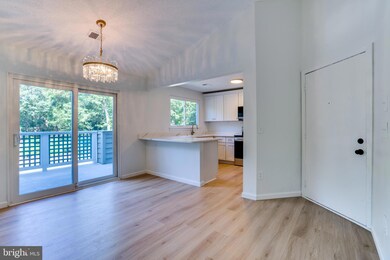 11701 Summerchase Cir, Reston, VA 20194 - photo 6