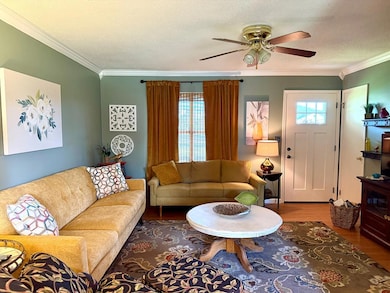 Cozy Living room