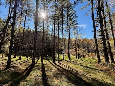TBD Jake Blackburn Rd, Lansing, NC Lansi - photo 4