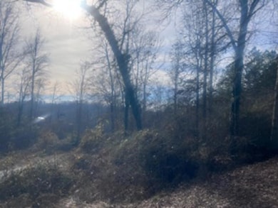 000A Riverbend Rd, Fair Play, SC 29643 - photo 2