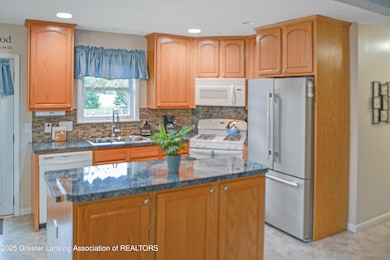 51 Shirlee Ave, Ionia, MI 48846 - photo 3