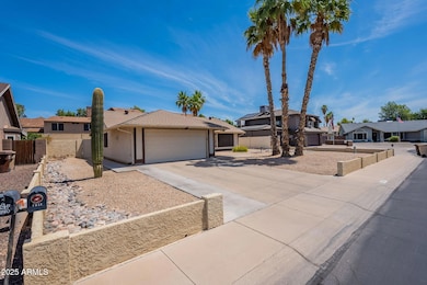 3-web-or-mls-Willow-3