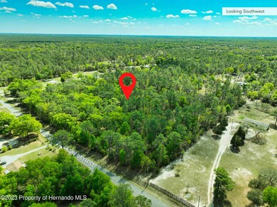 0 SW 95th St unit 2231203, Dunnellon, FL 34431 - photo 3
