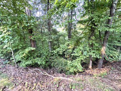 0 Old Latham Rd unit RRA45788, Dresden, TN 38225 - photo 6