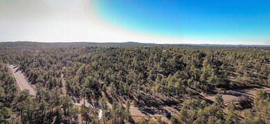 1870 S Pleasant View Dr unit 429, Show Low, AZ 85901 - photo 7