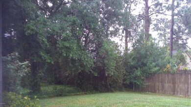 Yard.JPG
