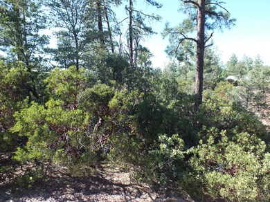 S0060990