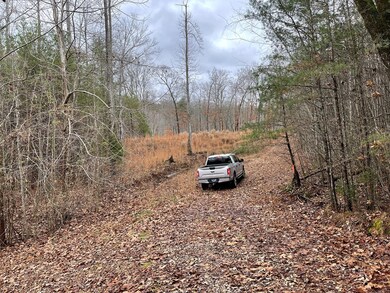 0 Cane Creek Rd unit 216390, Sparta, TN 38583 - photo 2