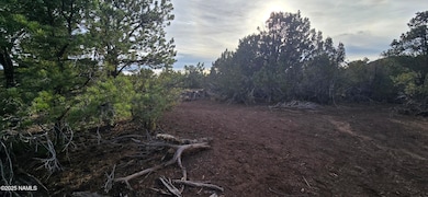 2393 E Starry Night Way unit 15, Williams, AZ 86046 - photo 7