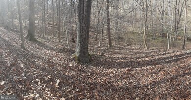 00 View Dr, Front Royal, VA 22630 - photo 3