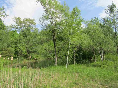 00 Morse Hill Rd, Dorset, VT 05251 - photo 7