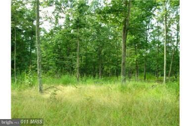 433 Apple Harvest Dr, Gerrardstown, WV 25420 - photo 4