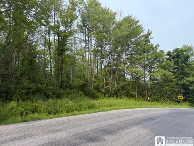 0 Horton Rd, Ellicott, NY 14701 - photo 4