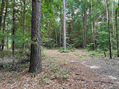 View of tree filled area