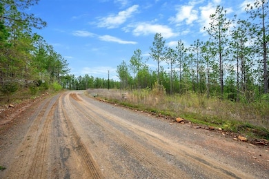 10 Three Waters St, Honobia, OK 74957 - photo 5