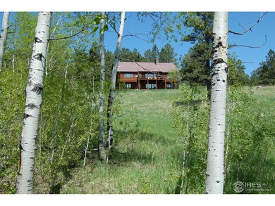 Aspen Grove