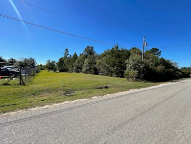 1094 County Road 3479a, Cleveland, TX 77327 - photo 2