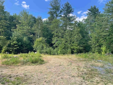 491 Whitneyville Rd, Halifax, VT 05358 - photo 4