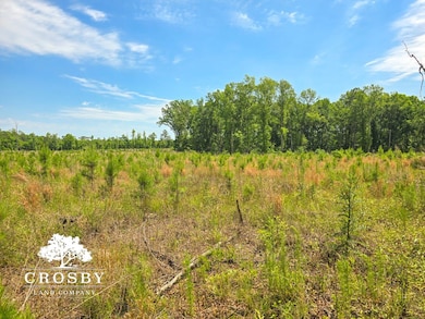 0 Alexander-Munnerlyn Rd, Waynesboro, GA 30830 - photo 3