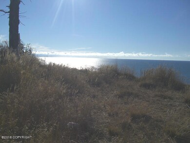 Gillean's-Inlet-Bluff-6
