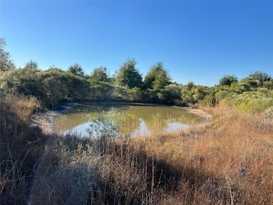 3711 Felix Currie Rd, Point Blank, TX 77364 - photo 3