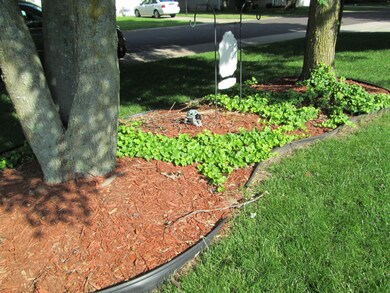 716 Hillcrest Ave, Nixa, MO 65714 - photo 5