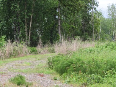 0 XXXX Loomis Trail Rd, Blaine, WA 98230 - photo 4