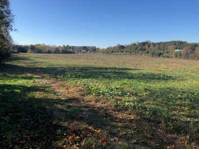 Pasture is all fenced and cross fenced