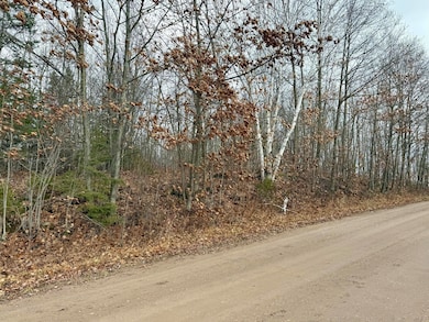 0 Lecoy Rd, Sugar Island Township, MI 49783 - photo 3