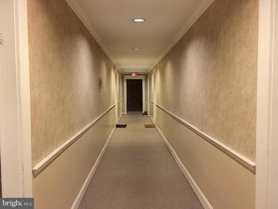 610 Madison St unit 202, Alexandria, VA 22314 - photo 2