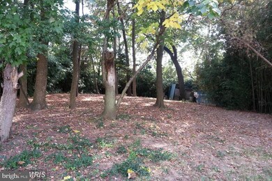 4810 Bayonne Ave, Baltimore, MD 21206 - photo 2