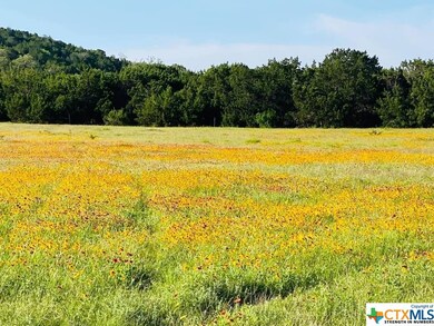 1205 Holden Loop, Copperas Cove, TX 76522 - photo 4