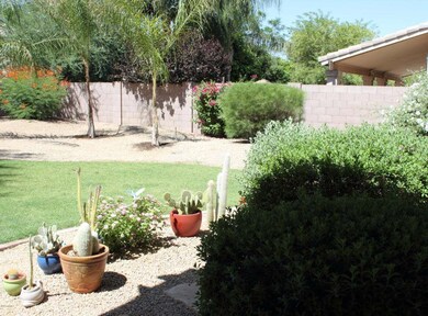 4123 E LARIAT LN  REAR YARD PALMS