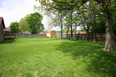 Backyard 3