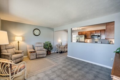 2203 N Flores Dr, Tucson, AZ 85705 - photo 2