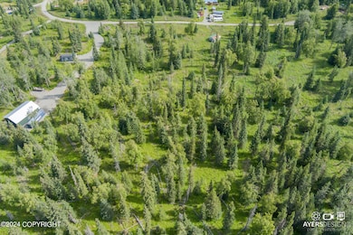 17215 Lunchbox Dr, Ninilchik, AK 99639 - photo 7