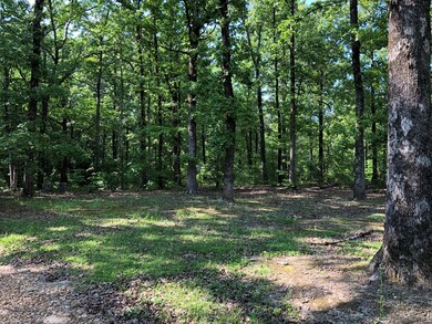 295 County Road 103, Oxford, MS 38655 - photo 3