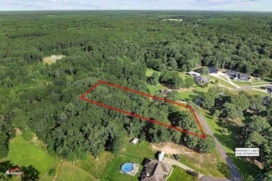 TBD Pond Lake Rd (Pr 1239), Elysian Fields, TX 75642 - photo 2