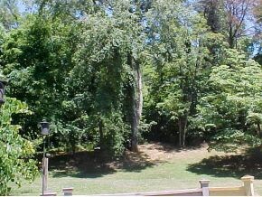 1411 Valley View Dr, Johnson City, TN 37601 - photo 4