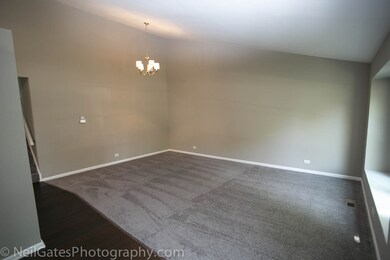 1317 Windemere Ave, Naperville, IL 60564 - photo 6